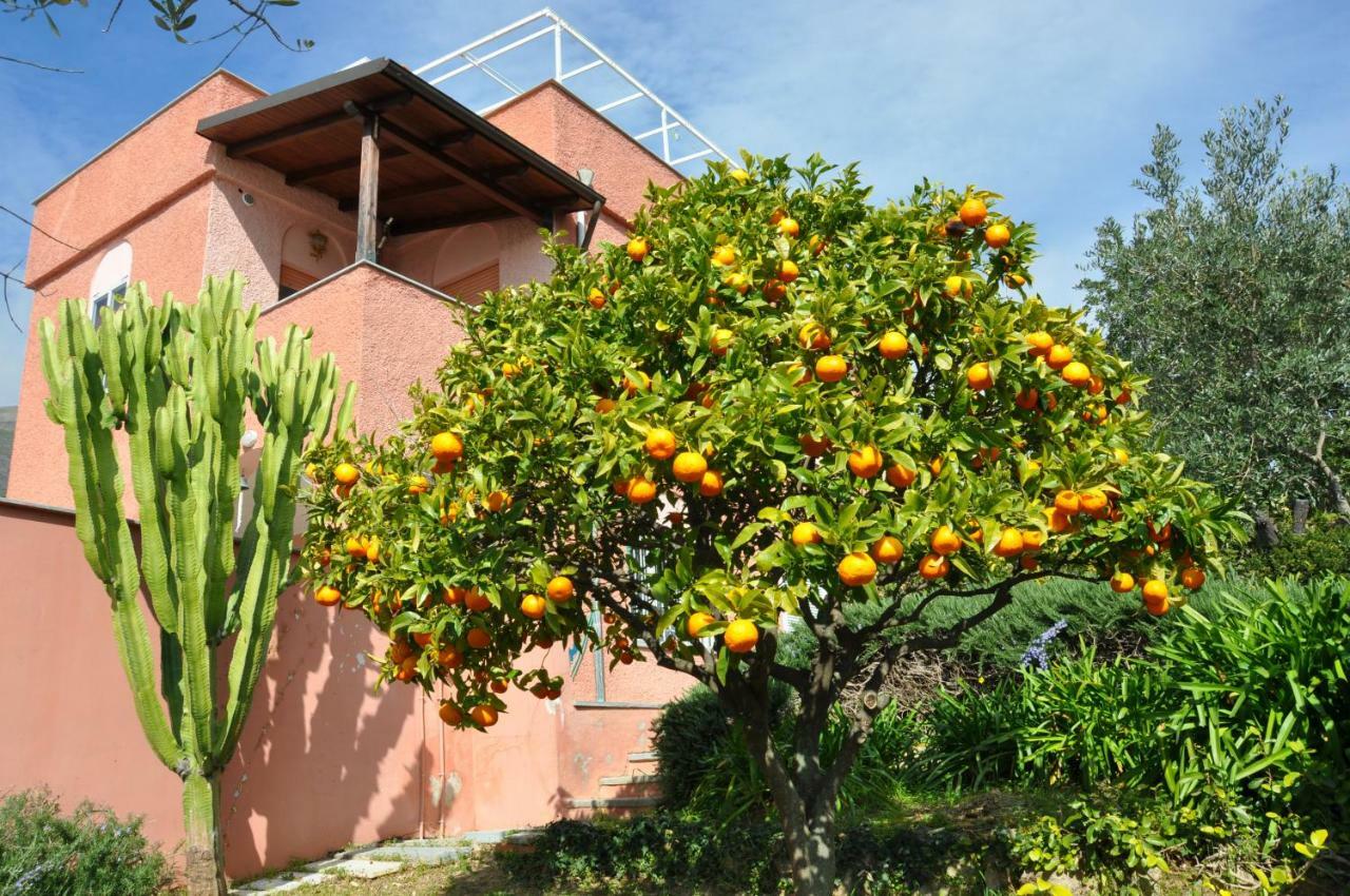 Villa Paolina Ceriale - App. 4 Posti Exterior foto